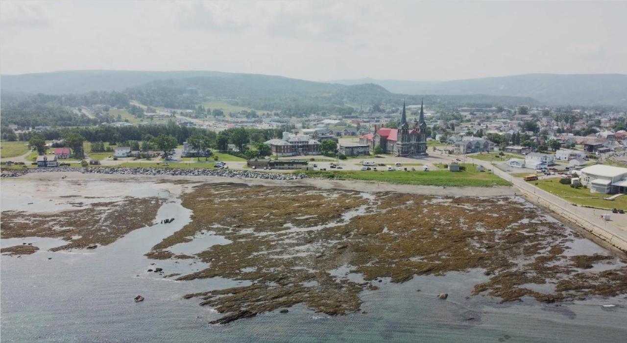 Le Couvent Lejlighed Sainte Anne-des-Chênes Eksteriør billede